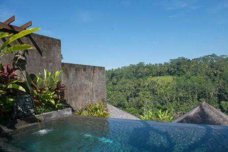Black Penny Villas Ubud - 72
