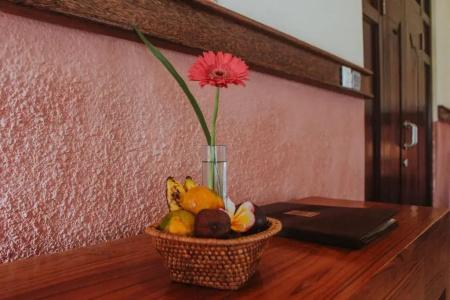 Ubud Aura Wellness Sanctuary - 22