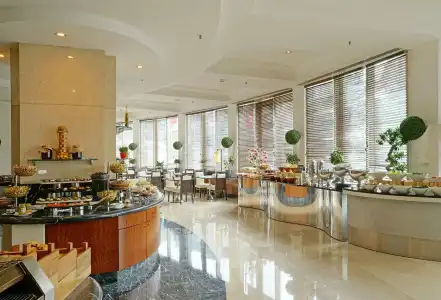 Sheraton Ankara & Convention Center - 8