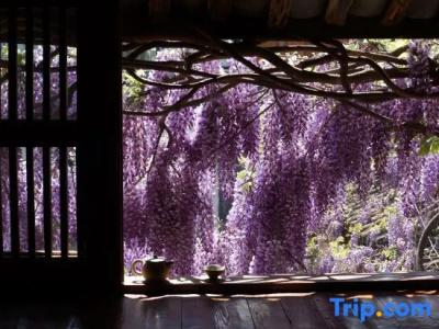 My Love Inn - 118