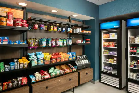 Hampton Inn & Suites Rochester/Henrietta - 16