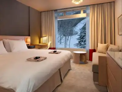 The Green Leaf Niseko Village, Tapestry - 1