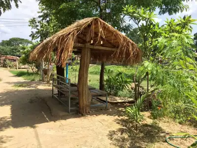 Canary Guesthouse - 17