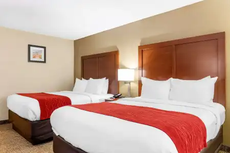 Comfort Inn & Suites Macon North I-75 - 5