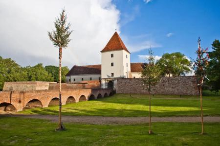 Viktória - 17