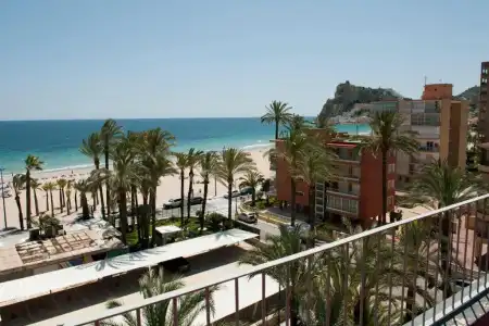El Palmeral - 62