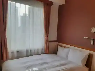 Toyoko Inn Kawasaki Ekimae Isago - 5