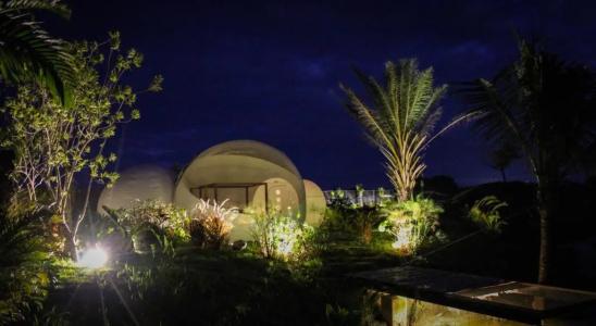 Green Land Bubble Glamping - 50