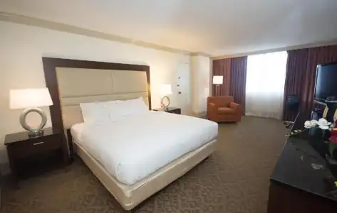 Hilton Palm Beach PBI - 54