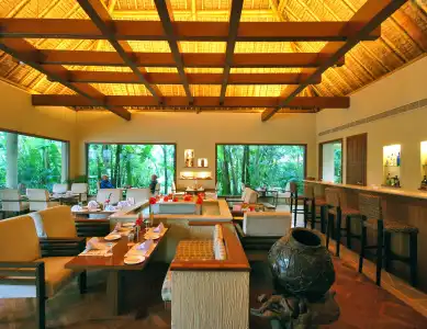 Vedic Village Spa Resort - 20