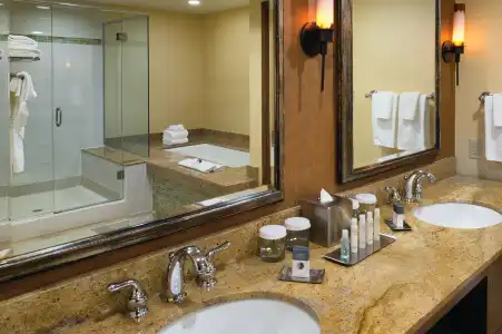 DoubleTree by Hilton Seattle Airport - 8