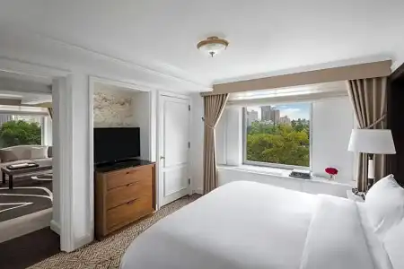 The Ritz-Carlton New York, Central Park - 74