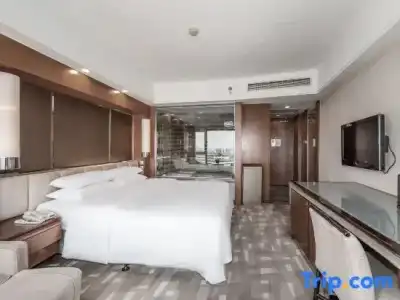 Beijing International - 77