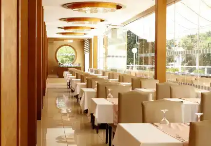 Grand Ideal Premium - 32