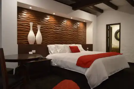 Radisson Tapatio Guadalajara - 35