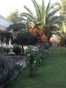 Kyriaki - 16