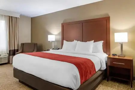 Comfort Inn & Suites Macon North I-75 - 28