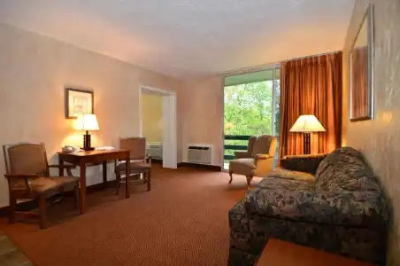 Best Western Branson Inn And Conference Center - 56