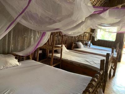 New Jambo Bungalows - 19