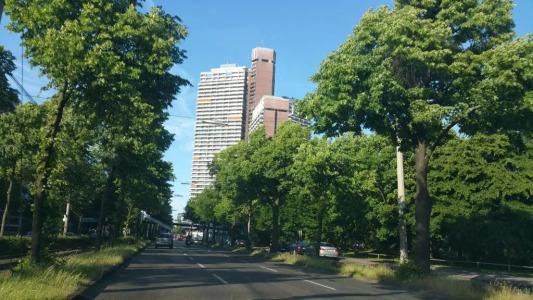 Design Sleepy Cologne - 31