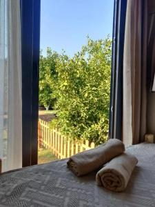 Bodrum Gaia Tiny Houses Butik - 36