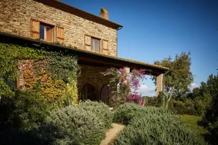 Boschi di Montecalvi - Guest House - 219