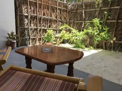 Palm Garden - 11