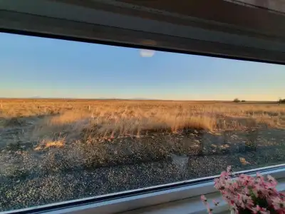 Skálatjörn Guesthouse - 81