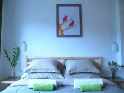 Guesthouse Bor - 2