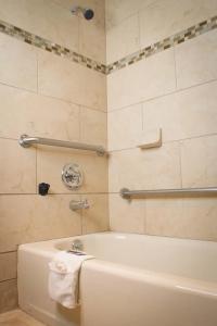 Executive Inn & Suites Sacramento - 8