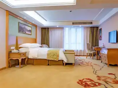 Vienna Classic Baiyun Dongping Zhong Road - 45