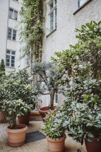 Honigmond Boutique Berlin - Mitte - 22