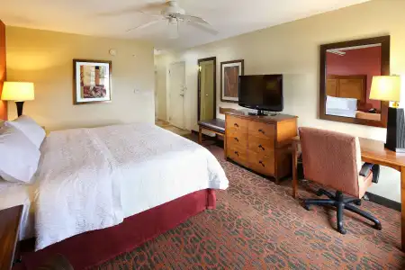 Hampton Inn & Suites Tucson-Mall - 4