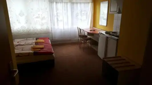 Pension Hubertushof Freiberg - 20