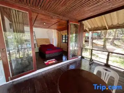 Lijiang Yunlong - 555