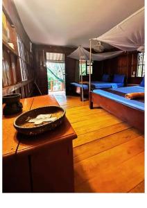 Dolphin Bay Resort - 63