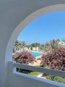 Bougainvillier Djerba - 34
