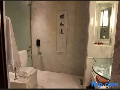 ITC Sonar, a Luxury Collection, Kolkata - 61