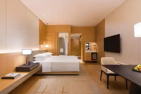 Hyatt Regency Shenzhen Airport - 21