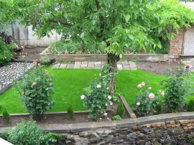 Guest House Mihalevi - 8