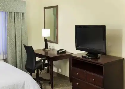 Hampton Inn & Suites Dallas-Arlington-South - 33