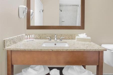 Ramada Denver International Airport - 8