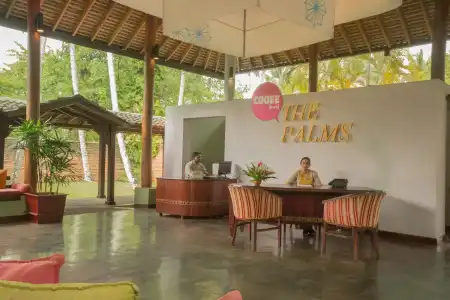 The Palms - 13