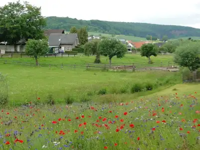 Höxter Am Jakobsweg - 18