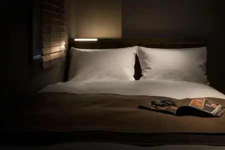 Nest Tokyo Hanzomon - 8