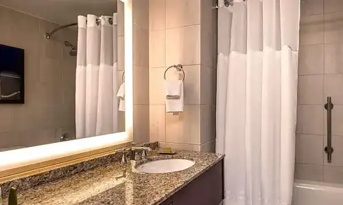 Hilton Anatole - 68