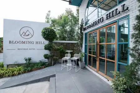 Blooming Hill - 0