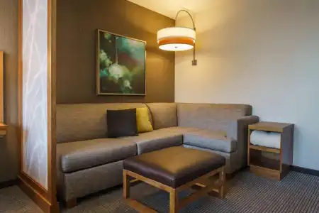 Hyatt Place Houston/Galleria - 37