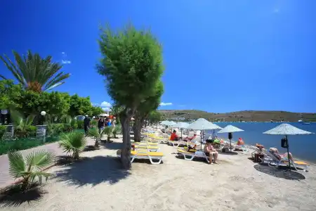 Parkım Ayaz - 25