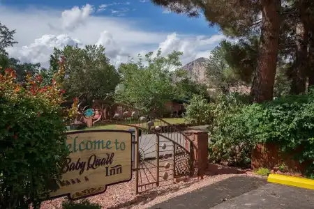 Baby Quail Inn - 9